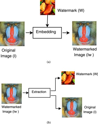 Figure 3. Reversible data hiding scheme: (a) watermark embedding and (b) watermark extraction.