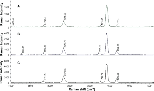 Figure 6 Raman spectra of A) pure single-walled carbon nanotubes (SWCNTs), B) phospholipid-polyethylene glycol (Pl-PEG) 5000-SWCNTs, and C) Pl-PEG 2000-SWCNTs.