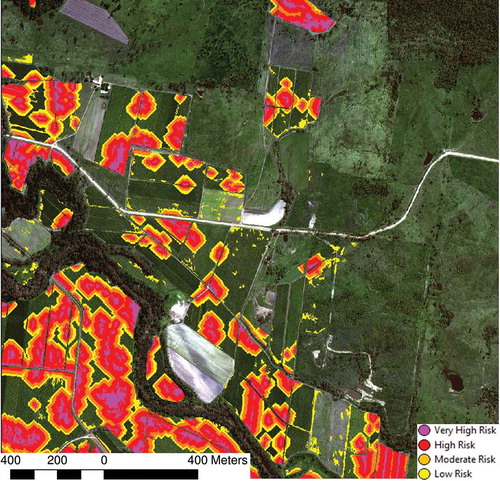 Figure 7. Risk map showing different levels of risk based on distance to mapped canegrub damage.