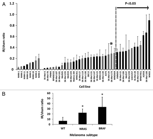 Figure 1. G2 checkpoint function in NHM and melanoma cell lines. Flow cytometry was used to quantify mitotic cells with expression of phospho-H3 (ser10).Citation22 G2 checkpoint function was scored as the ratio of the fractions of cells in mitosis 2 h after treatment with 1.5 Gy IR or a sham treatment (IR/sham ratio). The values shown represent individual determinations in NHM11, NHM16 and NHM18 cultures and mean values in melanoma cell lines (+ sd, n = 2–6). Black bars depict newly determined values while gray bars are from our previous report.Citation22 All melanoma lines with values > 0.3 were determined to have defective G2 checkpoint function in comparison to NHMs (p < 0.05 after correction for multiple comparisons). The SK-Mel-173 line (*) was also defective. (B) G2 checkpoint function in melanoma cell lines belonging to three subtypes, “epithelial-like” with wild-type NRAS and BRAF (WT), NRAS- mutant and BRAF-mutant. Results represent mean + sd (WT, n = 5; NRAS, n = 8; BRAF, n = 22). (*) Denotes significantly different from WT (p = 0.002 for NRAS and p = 0.001 for BRAF). NRAS and BRAF were not significantly different (p = 0.1).