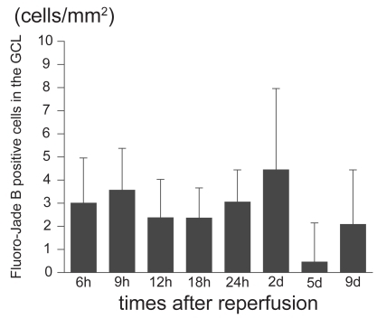 Figure 1 Time course of the number of Fluoro-Jade B-positive cells in the GCL. The number of Fluoro-Jade B positive cells in the GCL peaks at 2 days after reperfusion.