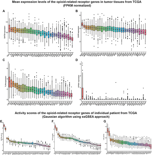 Figure 2 Mean expression levels and activity scores of the opioid-related receptor genes in TCGA pan-cancer samples.