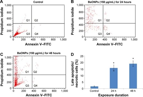 Figure 6 (A–C) Flow cytometirc analysis of Annexin V–FITC/PI stained cells. (D) Percentage of Annexin V–FITC/PI-positive cells in control and L929 cells exposed to BaONPs (150 μg/mL) for 24 and 48 hours.Notes: Each value represents the average ± SE of two experiments. Statistical differences with respect to the controls are shown (*P<0.05).Abbreviations: BaONPs, barium oxide nanoparticles; FITC, fluorescein isothiocyanate; PI, propidium iodide; SE, standard error.