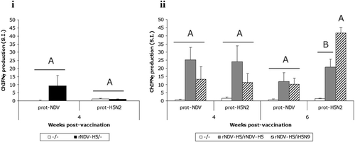 Figure 4. Cell-mediated immunity of chickens vaccinated at 1 day old with rNDV-H5 and boosted or not at 2 weeks old according to different vaccination regimens. Note: Birds were challenged at 4 weeks p.v. in the first trial (i) and at 6 weeks p.v. (ii) in the second trial, with 106 EID50 of the H5N1 HPAI (A/Duck/Hungary/1180/2006) strain. Splenocytes were stimulated with prot-NDV and prot-H5N2 recall antigen (1 µg/ml) and supernatants of stimulated cells were harvested after 72 h of activation. ChIFNγ production was determined by the ChIFNγ capture ELISA. The results corresponding to the mean ± standard deviation of SIs are indicated at each time point (n = 4). SIs with no common superscript uppercase letters differ significantly (P < 0.05).