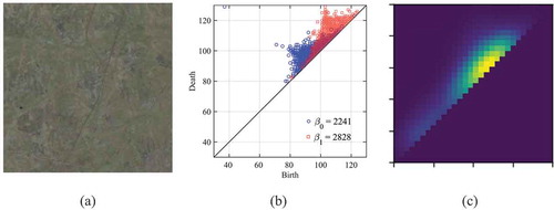 Figure 2. (a) A fragment of the swamp landscape (02/25/2015). (b) the PDs for this image. Blue colour corresponds to the connected components, red color to the holes. The number of points in each clouds is shown in the legend. (c) A persistent image for the PD(β1).