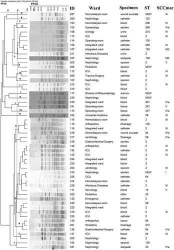 Figure 1 Results of PFGE and molecular characteristics of FA-resistant S. epidermidis isolates.