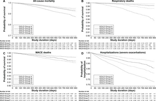 Figure 2 Kaplan–Meier curves of patient events by GOLD group (Groups A–D).