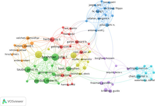 Figure 4 Authors coauthorship network visualization of the 100 most frequently cited publications.