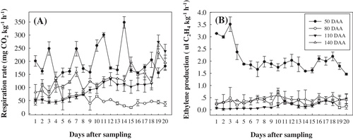 Fig. 3 Changes in respiration rate (A) and ethylene production rate (B) of mango fruits cv. Jinhwang harvested at 50, 80, 110 and 140 days after anthesis (DAA). Each value is the mean of four replications and vertical bar indicate the standard error.