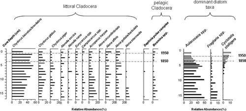 Figure 3 Relative abundances of littoral cladocerans, pelagic cladocerans, and dominant diatom taxa in Slipper Lake, Northwest Territories. The two Chydorus species, C. biovatus and C. brevilabris, were grouped together, as the remains of these taxa were difficult to distinguish from each other, as were the Alona species, A. guttata and A. barbulata. Diatom data are summarized from CitationRühland et al. (2003a) and CitationRühland and Smol (2005).
