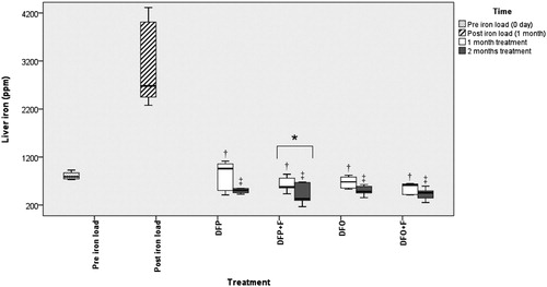 Figure 1. Comparison of the liver iron following different treatments. DFP: deferiprone; DFP + F: deferiprone and phlebotomy; DFO: deferoxamine; DFO + F: deferoxamine and phlebotomy. † Significant difference between treatments and post-iron loading time (P < 0.05), ‡ Significant difference between treatments and both pre- and post-iron loading times (P < 0.05), * Significant difference between the first and second month of treatments (P < 0.05). No significant differences present among treatments.