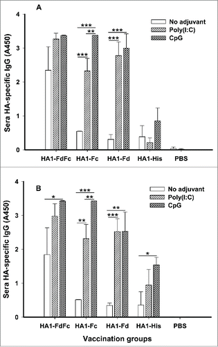 Figure 3. Detection of IgG antibody responses by ELISA in mice immunized with HA1 fusion proteins plus Poly(I:C) or CpG adjuvant. PBS with or without adjuvants was used as the negative control. ELISA plates were coated with HA1-FdFc, HA1-Fc, HA1-Fd, or HA1-His protein, respectively (A), or full-length HA1-His protein (B), and IgG antibody was detected using mouse sera (1:3,200) from 10 days post-last vaccination. The data are presented as A450 ± SD of 4 mice per group. The *, ** and *** indicate the significant difference with P < 0.05, 0.01 and 0.001, respectively, between the groups with or without adjuvants.