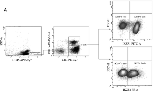 Figure 1. Flow cytometry analysis of IKZF1/3 expression in T-cells from healthy donors and plasma cell disease patients. Representative flow cytometry plots showing the gating strategy used to analyse IKZF1/3 levels in CD3+ T-cells.XY scatter plots for IKZF1 expression (on the X-axis) versus IKZF3 expression (on the Y-axis) showing the average distribution in HD (n = 38), MGUS (n = 43), MMI (n = 49) and MMIII (n = 211) patients; every point represents one individual.The differences in IKZF1/3+ T-cells frequencies in HD and patients with different plasma cell diseases.