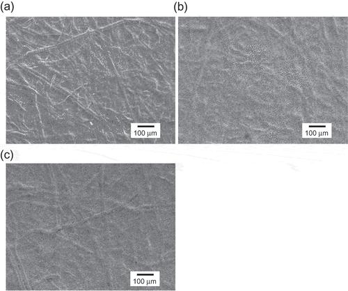 Figure 5. Scanning electron microscopy (SEM) images of paper-based Au electrodes (a) without modification, (b) with Ta2O5 modification, and (c) with Ta2O5 modification after bending around the cylinder (r = 6.5 mm).