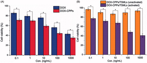 Figure 4. Cytotoxicity of DOX, DOX-CPPs (A), and activated DOX-CPPs-TSMLs, unactivated DOX-CPPs-TSMLs (B) against MCF-7 cells with different concentrations. The data are presented as the mean ± SD (n = 6). * indicates p < 0.05.