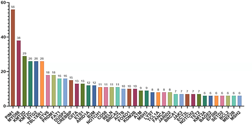 Figure 2 Gene mutation analysis in patients with PT-DLBCL. The number on each bar indicates the number of patients carrying the indicated gene mutation.