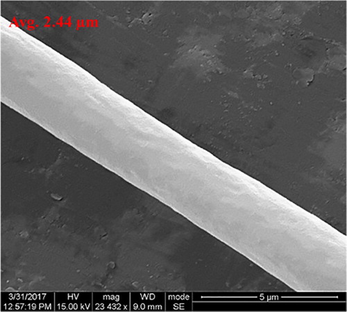 Figure 4. SEM image of smooth fibers.