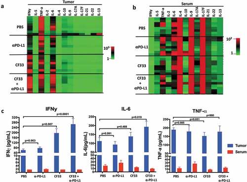 Figure 7. CF33-hNIS-ΔF14.5 in combination with αPD-L1 increases pro-inflammatory cytokines in TME but not in serum. E0771 tumors were treated as in Figure 4 and tumors as well as serum were harvested 7 days after treatment. Tumors were homogenized to obtain tumor lysates. A multiplex bead-based assay was used to quantify 13 cytokines in the tumor lysates. (a) Heat-map showing all the 13 cytokines in the tumor lysates in the 4 treatment groups (n = 4 mice/group). (b) Heat-map showing all the 13 cytokines in the serum of the mice. Samples were analyzed in duplicates. (c) Mean concentration of IFNy, IL-6 and TNF-a in tumor lysates and serum have been plotted with SEM. One-Way ANOVA was used to calculate p values. Note: color scales for Tumor (Figure (a)) and Serum (Figure (b)) are different