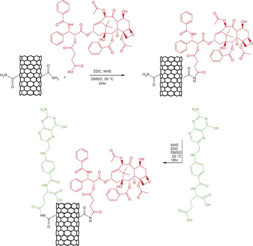 Figure 2. Process of conjugation of PTX and FA onto amide-functionalized SWNT.