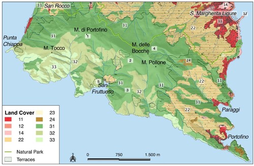 Figure 3. Portofino promontory land use: 11 urban fabric; 12 industrial, commercial and transport units; 14 artificial, non-agricultural vegetated areas; 22 permanent crops; 23 pastures; 24 heterogeneous agricultural areas; 31 forests; 32 shrub and/or herbaceous vegetation associations; 33 bare rock.
