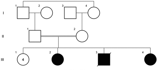 Figure 1. Pedigree of the two patients described with Distal Arthrogryposis type 5D (DA5D), III2 and III4.