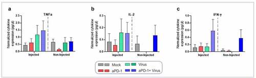 Figure 4. Profile of cytokine expression in tumors collected at day 7 following the experimental set-up described in Figure 2a, after virus treatment with aPD-1 therapy. The cytokine production was normalized by the total protein concentration in the samples. Cytokine levels in tumors for (a) TNFa, (b) IL-2, and (c) IFN-γ, Data are presented as mean + SEM. *p < .05.