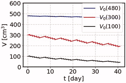 Figure 5. The change of the cancer volume as a function of time due to the cancer treatment. We use the parameters b1 = 0.045 Gy−1 and the total dose, 2 Gy a day, growth rate λ = 0.045 day−1. We consider three cases of the initial volumes for a cancer with the terminal volume of 500 cm3. We start irradiation one day after the cancer volume is 100, 300, and 480 cm3. These three cases are shown by circle dots on the solid curve (grow) in Figure 1.
