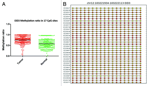 Figure 5. RRBS CpG methylation validation via targeted bisulfite sequencing for EID3 in colon cancer. (A) Validation of 17 CpG sites in cancer tissues compared with their corresponding matched normal tissues (n = 34). CpG sites from the tumor group are plotted in red and CpG sites from the normal tissue group are shown in green. The Y axis shows the average methylation and the X-axis shows the type of samples. This region of EID3 promoter as a whole was significantly (P < 0.0001) hypermethylated in the tumor group. (B) The CpG sites depicted as lollipop and the color indicate the level of methylation from higher to lower in yellow > orange > red order.