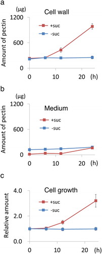 Figure 6. Secretion of pectin was inhibited from sucrose-starved tobacco cells. (a) Time-course analysis of the change of pectin in cell wall fraction prepared from cells cultured in normal and sucrose-free medium. Amount of pectin corresponding to 1 mL culture was shown. (b) Time-course analysis of the change of pectin in medium fraction as in a. (c) Time-course analysis of the change of the relative amount of cell volume in a unit culture volume. (a-c) Data are means ± SD. (n = 5).