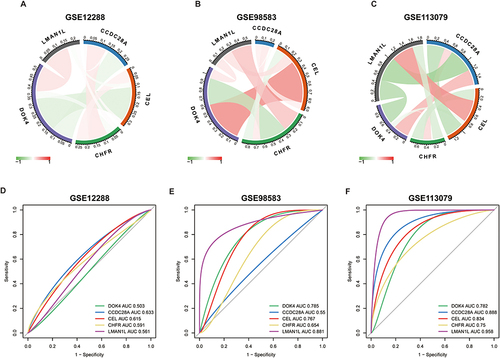 Figure 7 Correlation analysis and diagnostic efficacy test of the five characteristic genes. (A–C) Correlation analysis using the three datasets. The red line represents positive correlation, the green line represents negative correlation. (D–F) Diagnostic ROC curves of the five genes.