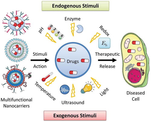 Figure 14. Schematic representation of different stimuli-responsive multifunctional nanocarriers for targeted drug delivery applications. Various stimuli-responsive multifunctional nanocarriers such as polymeric nanoparticles, liposomes, nanostructured lipid carriers, etc. can disassemble their nanostructure under various exogenous (temperature, ultrasound, light, etc.) and endogenous (pH, enzyme, redox potential, etc.) stimuli actions resulting in release of the encapsulated drugs at the targeted disease cells