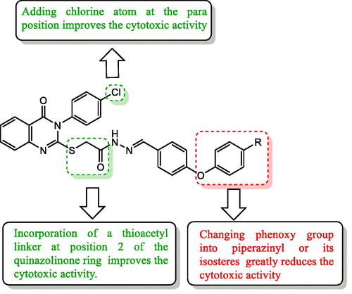 Figure 4. Structure activity relationship for synthesised quinazolinone derivatives correlated with their cytotoxic activity.
