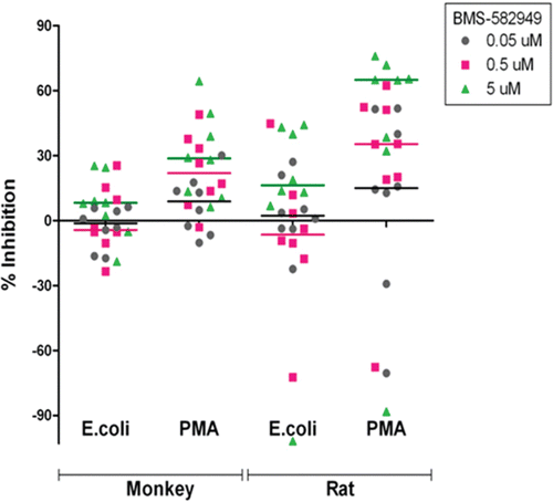 Figure 7.  Effects of BMS-582949 on respiratory burst function in monkey and rat monocytes in vitro. n = 8 (four/sex) per stimulation condition and per species (x-axis). Data are presented as percent inhibition of stimulated respiratory burst in vehicle-control samples independently calculated for each animal (y-axis). Triplicate MFI values were averaged for each parameter per assay prior to percent inhibition calculation. Each individual monkey data point is a median of three independent assays. Each individual rat data point represents a single assessment per rat. Color-coded bars represent the median of the individual data per BMS-582949 treatment concentration.