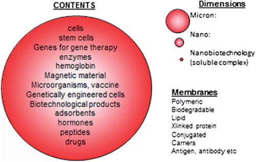 Figure 1. Possible variations in dimensions, membrane mateerials, and contents of artificial cells (from CitationChang 2007, with permission from World Science Publisher).