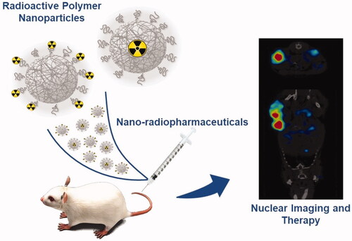 Figure 1. Schematic figure showing the main two types of polymeric nanoparticles and their application in imaging and/or therapy from pre-clinical data to a human use.