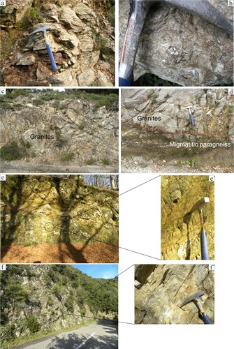 Figure 7. Field examples of lithotypes and structures belonging to the Aspromonte Unit. (a–b) Migmatitic paragneisses. (c–d) Late-Variscan small-sized granites intruding migmatitic paragneisses. (e–e′) Unconsolidated ultracataclasites from granitoid parent rock near the Cortaglia tectonic alignment. (f–f′) Mylonitic leucocratic orthogneisses characterized by the absence of recovery processes.