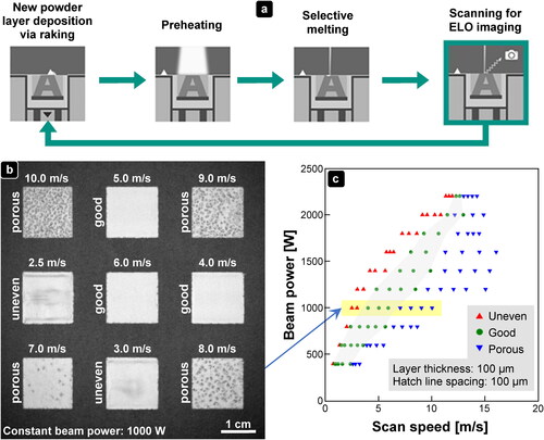Figure 2. ELectron-Optical (ELO) process monitoring for EB-PBF (reprinted with permission from (Pobel, Arnold, et al., Citation2019). Copyright Elsevier). (a): Individual steps for EB-PBF and ELO scanning. (b): Representative ELO image for sample quality evaluation and for processing window development on a retrofit Arcam S12 system (Pobel, Arnold, et al., Citation2019). (c): Processing window generated according to ELO images. The green area in (c) indicates a stable process region for EB-PBF of dense Ti-6Al-4V samples with an even surface, while the yellow area corresponds to the process parameters depicted in (b) (Pobel, Arnold, et al., Citation2019).