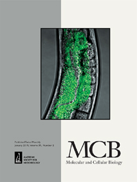 Cover image for Molecular and Cellular Biology, Volume 39, Issue 2, 2019