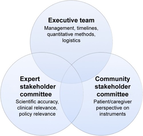 Figure 1 Project governance.