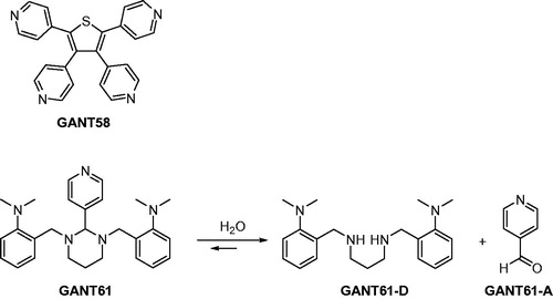 Figure 1. Chemical structures of two Gli antagonists GANT58 and GANT61 discovered in 2007 by Lauth et al. and GANT61 hydrolysis products GANT61-D and GANT61-A.