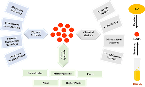 Figure 4 Schematic representation of the common methods for AuNPs synthesis.