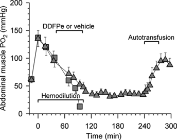 Figure 4 Series I and II. Oxygen tensions in abdominal muscle vs. time in rats made anemic by hemodilution (same animals as in Figs. 1 and 2; all data points are mean values + or − SE). Control rats (squares; n = 16) received vehicle and permanently anesthetized rats (triangles; n = 8) received 0.7 ml/kg i.v. of 2% dodecafluoropentane emulsion (DDFPe). The animals breathed high oxygen concentrations per schedule at top of Figure 2.
