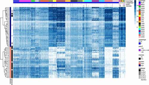 Figure 1. Universal DNA methylation marks of cancer. A heatmap displays methylation beta values of 73 (32 hyper- and 41 hypo-methylated) probes in the validation set of 19 tumour types. The probes were selected on five core tumours by Boruta algorithm. Dark blue colour on the heatmap corresponds to fully methylated status (beta value = 1); white colour corresponds to unmethylated status (beta value = 0). CpG probes in rows are hierarchically clustered. Samples in columns are clustered by tumour type and by sample type (tumour and normal). Rows (probes) are annotated by direction of methylation comparing to normals (hyper- or hypo-methylated) and by proximity of a probe to CpG island. Columns (samples) are annotated by colour representing histologically confirmed tumour type (tumorType), sample type (tumour/normal), probability to be a tumour sample estimated by random forest model (prob.T), and if a sample was misclassified (misclass). A list of misclassified samples and corresponding probabilities are in Table S2. Tumour type abbreviations can be found in Table S1.