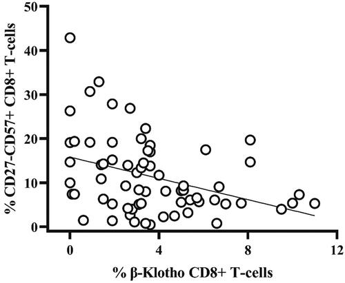 Figure 2. Inverse correlation between the share of β-Klotho + CD8+ T-lymphocytes and CD27-CD57+ CD8 + T-cells in group B (middle-aged adults) (rho = −0.4, p < 0.01). Correlations were evaluated with Spearman’s rank correlation test.