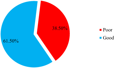 Figure 2 Satisfaction level of caregivers of children with chronic medical conditions receiving teleconsultation services during COVID-19 pandemic at Tikur Anbessa Specialized Hospital, Addis Ababa, Ethiopia.