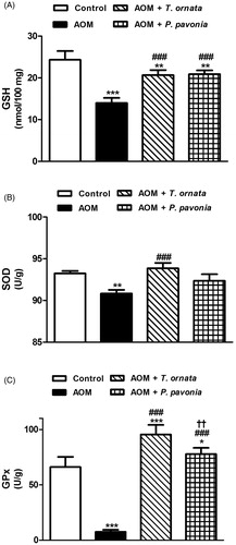 Figure 2. Liver glutathione content (A), and activity of SOD (B) and GPx (C) in control, AOM and AOM mice treated with T. ornata and P. pavonia. Data are expressed as mean ± SEM. *p < 0.05, **p < 0.01 and ***p < 0.001 versus control, ###p < 0.001 versus AOM and ††p < 0.01 versus AOM + T. ornata. GSH, glutathione; SOD, superoxide dismutase; GPx, glutathione peroxidase; AOM, azoxymethane; T. ornata, Turbinaria ornata; P. pavonia, Padina pavonia; SEM, standard error of the mean.