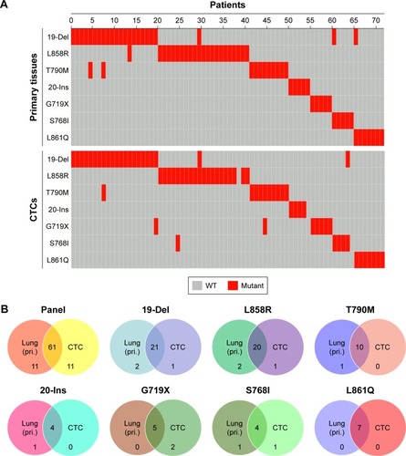 Figure 4 Concordance of EGFR mutation sites detected in primary tissues and CTCs from NSCLC patients.Notes: (A) Landscape of somatic mutations detected in primary tissues and CTCs from 72 patients with NSCLC. Seven EGFR alterations were detected by targeted sequencing and the results were computed in the mutational landscape. (B) The Venn diagrams were used to summarize the similarity of EGFR mutations in primary tissues and CTCs from 72 NSCLC patients.Abbreviations: CTC, circulating tumor cell; EGFR, epidermal growth factor receptor; NSCLC, non-small cell lung cancer; pri., primary tissue; WT, wild type.