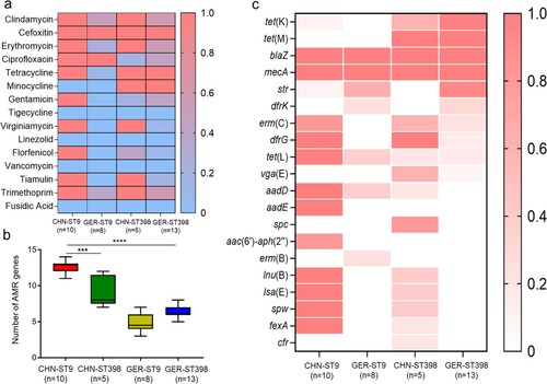 Figure 2. Analysis of antibiotic resistance and resistance genes of MRSA ST9 and MRSA ST398. (a) Heat map of antibiotic resistance properties. (b) Number of antibiotic resistance genes. (c) Heat map of resistance genes. Each cell in the heat map indicates the percentage of strains resistant to specific antibiotics or containing particular resistance genes.