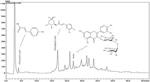 Figure 8. HPLC fingerprint analysis of ASL. The components of ASL were determined using an HPLC system. The reference standards of p-coumaric acid, chlorogenic acid and rutin were used to compare the peaks. ASL was dissolved in 80% methanol and applied to the HPLC system (Shim-pack VP-ODS column) at a flow rate of 0.15 mL/min. The analytes were detected by UV absorption at 254 nm.
