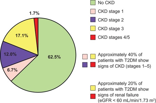 Figure 1 Renal dysfunction is common in patients with type 2 diabetes.